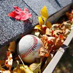 Clean Your Gutters Before Winter